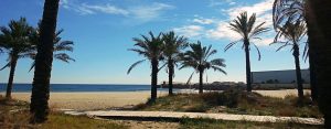 Playa El Pinar Castello