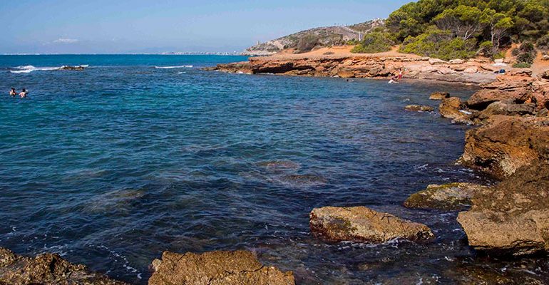 playa de la Concha | Castellón Virtual en  oropesa del mar