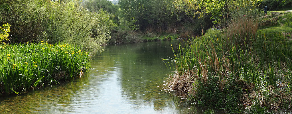 Rio Palancia y Fuente de los 50 caños