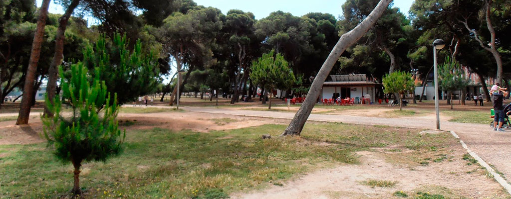 El Parque del Pinar, un rincón verde en el Grao de Castellón