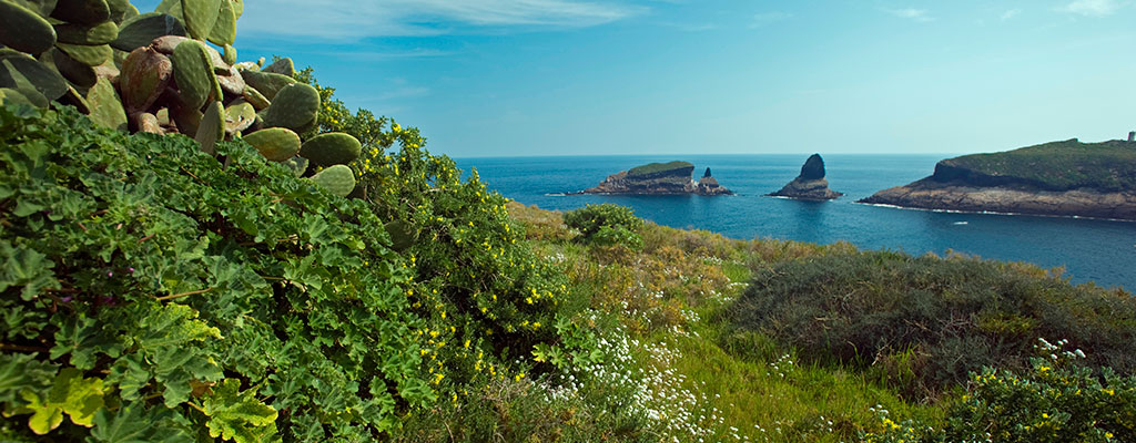 Islas Columbretes