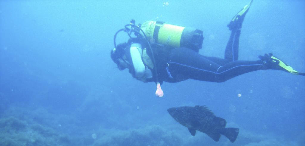 Buceo en Columbretes desde Alcocebre