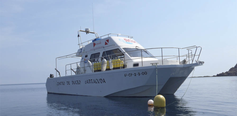 Catamarán Barracuda CATA 43