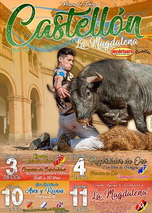 Festejos populares taurinos