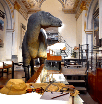 El Museo Tiempo de Dinosaurios