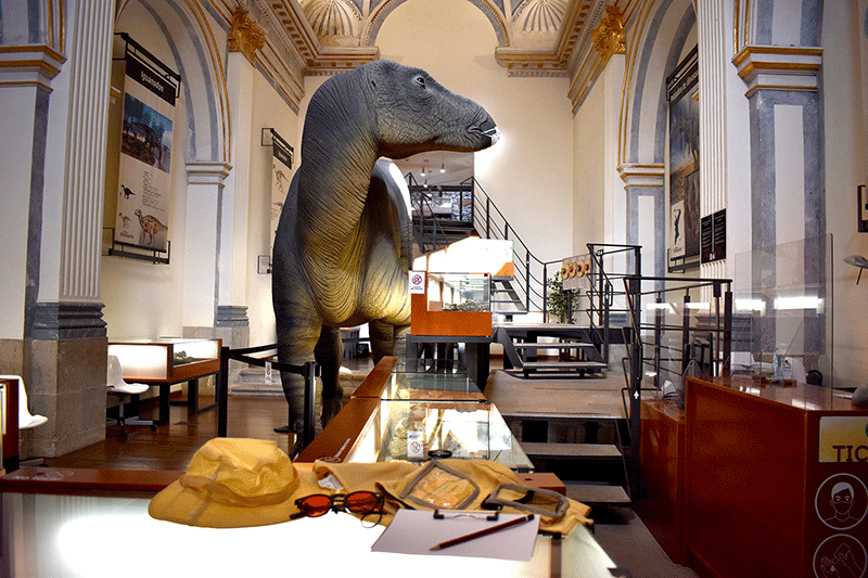 El Museo Tiempo de Dinosaurios