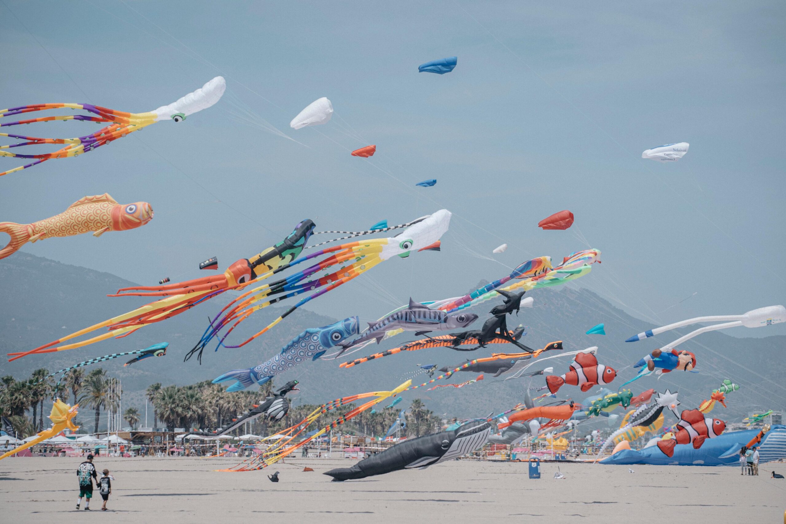 El II Festival del Viento Impulsa el Turismo de Castellón con Récord de Asistencia y Actividades Multitudinarias